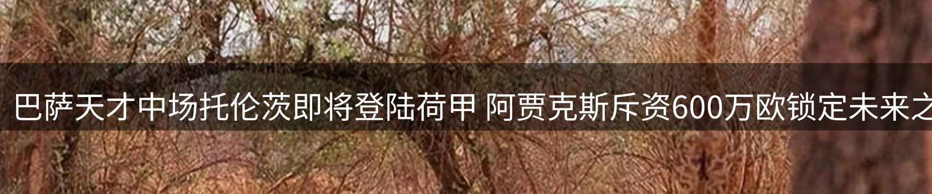 内页banner